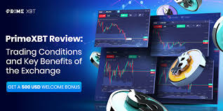 Discover the Excellence of PrimeXBT Team